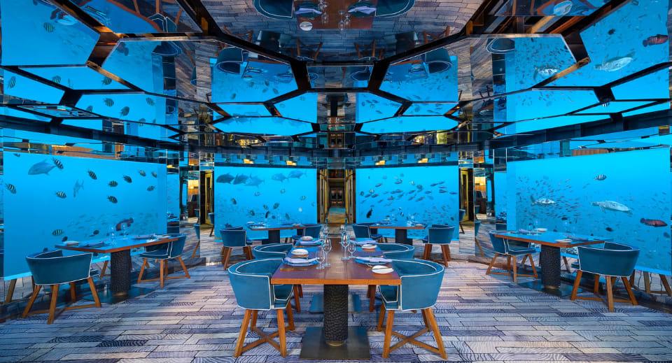 Immersive Culinary Journeys & Cultural Exploration